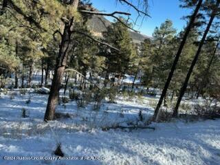 116 Dipaolo Drive  Ruidoso NM 88345 photo