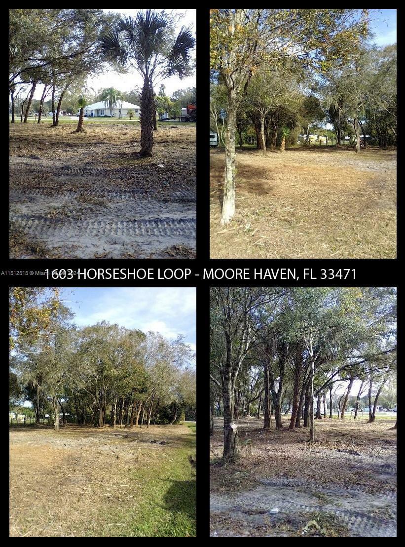 1603 Horseshoe Loop  Moore Haven FL 33471 photo