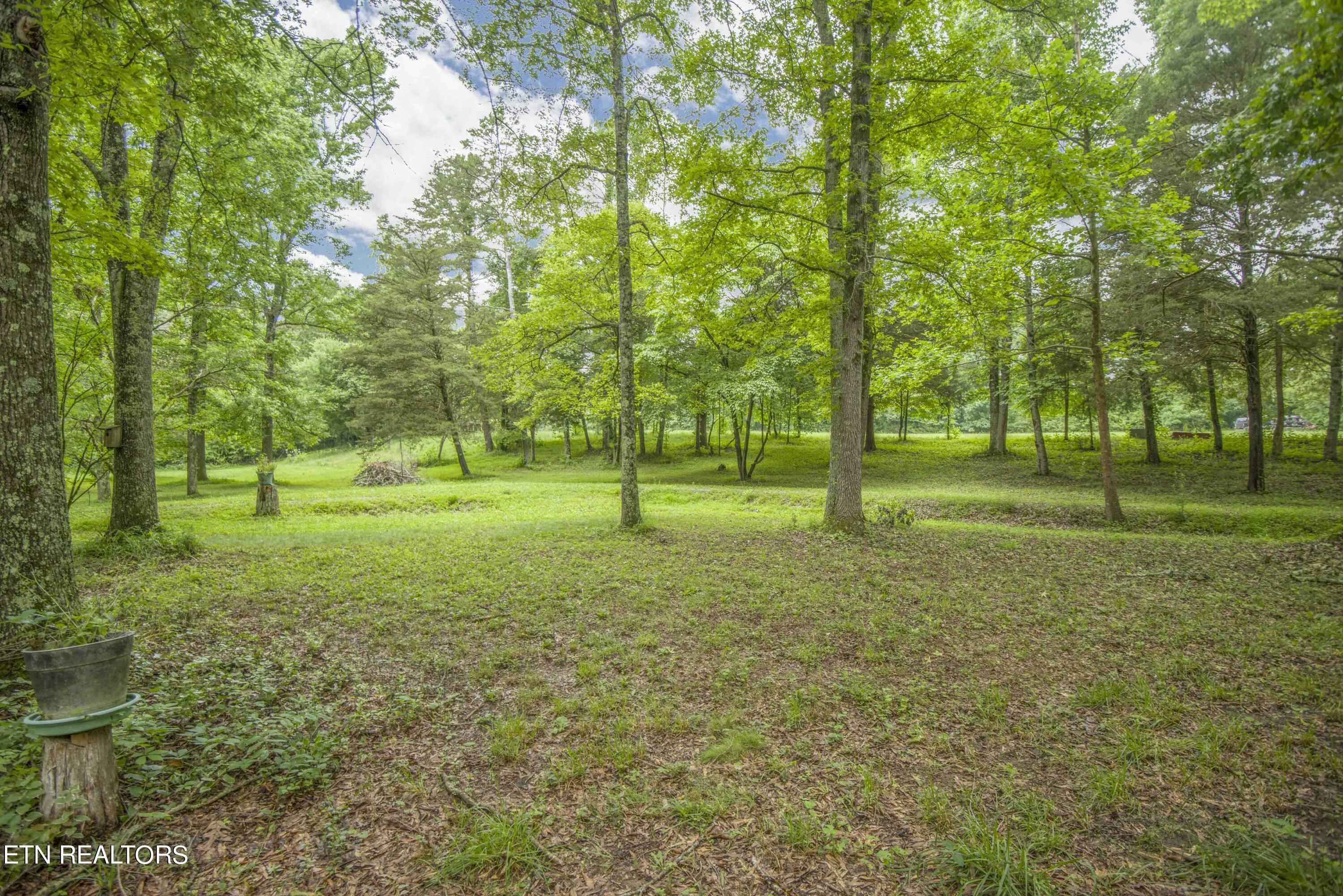 Property Photo:  7000 State Highway 304  TN 37880 