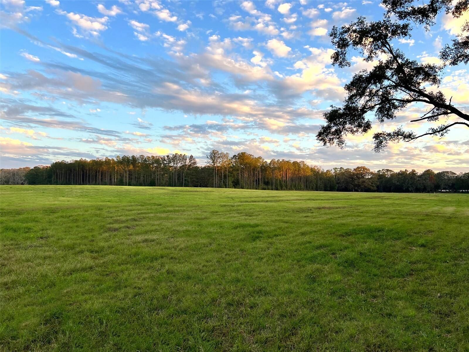 Property Photo:  1210 SW 153rd Drive  FL 32669 