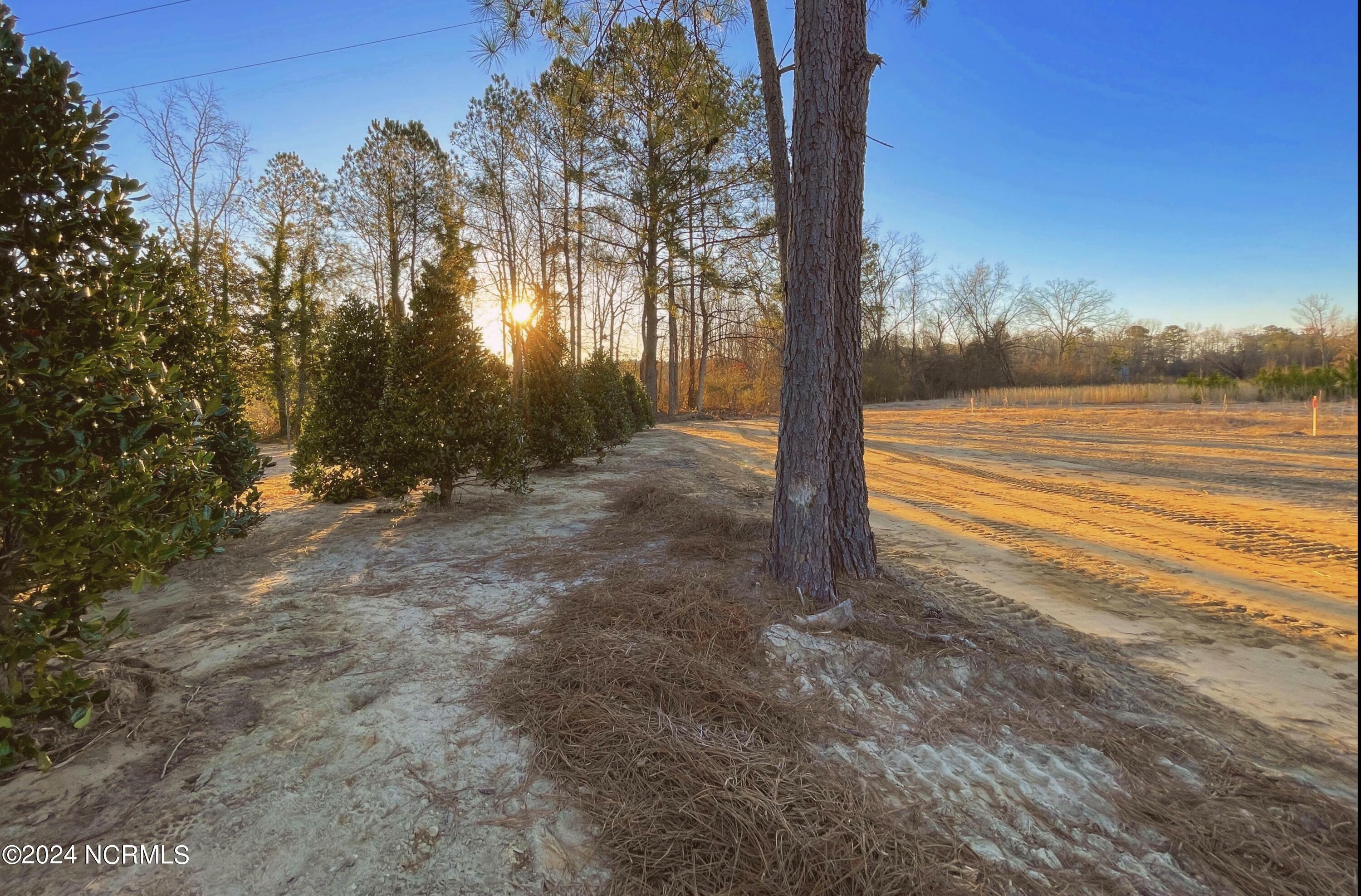 Property Photo:  Lot 2 Rays Bridge Road  NC 28327 