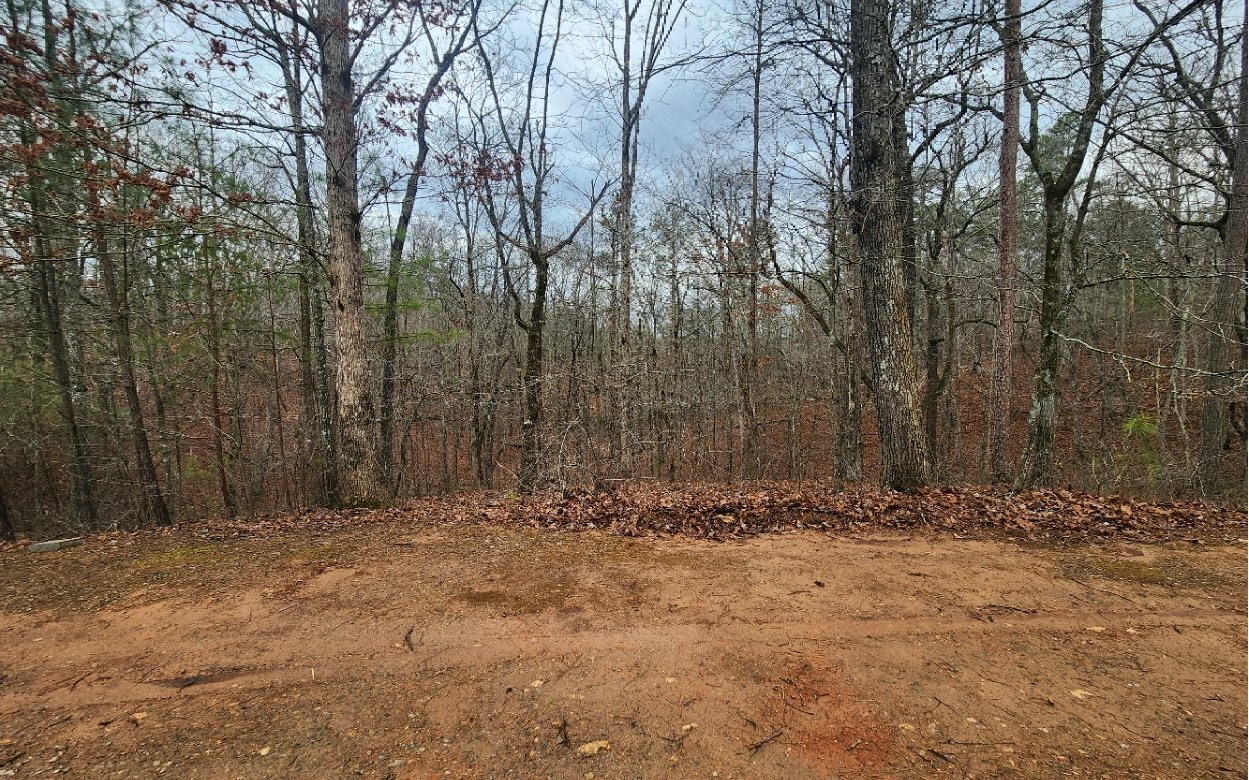 Property Photo:  Lot 9 Harris Creek Drive  GA 30540 