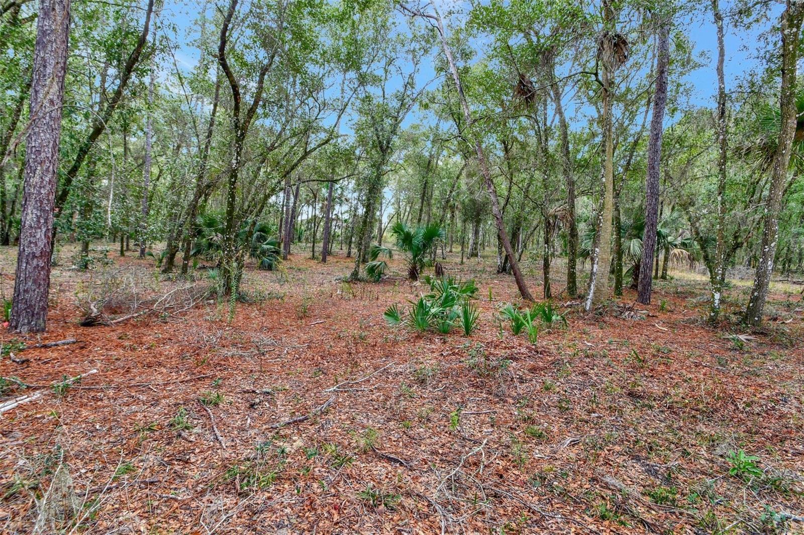 Property Photo:  1980 S Farm Road  FL 32720 