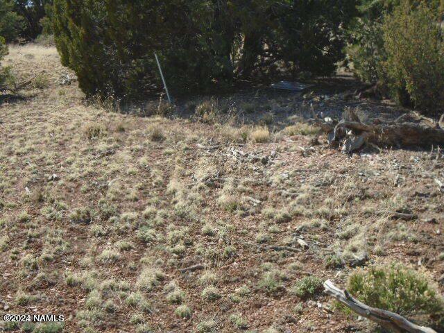 Property Photo:  913 S Kaibab Road 425  AZ 86046 