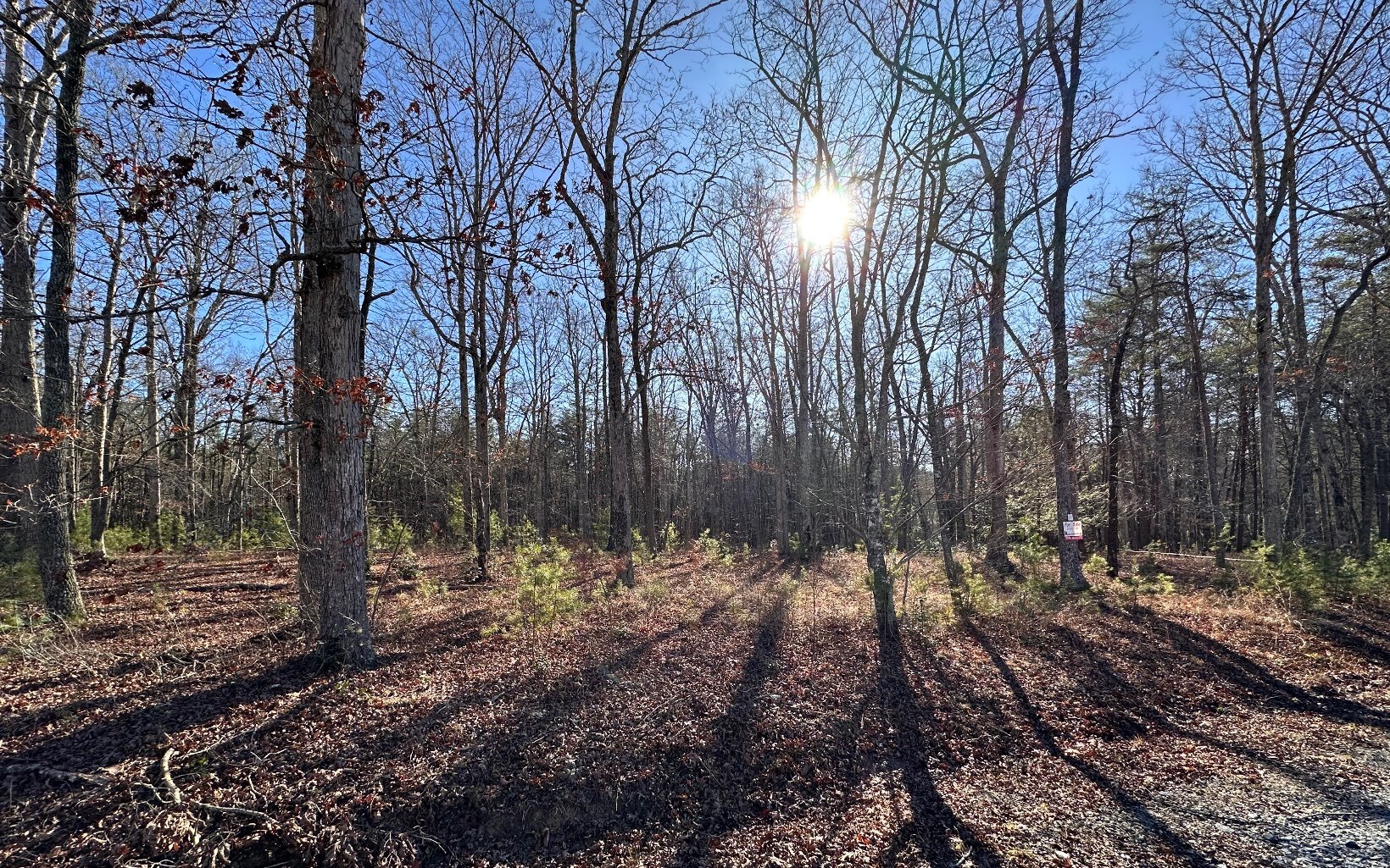 Property Photo: Lt 27 Fairview Drive GA 30560