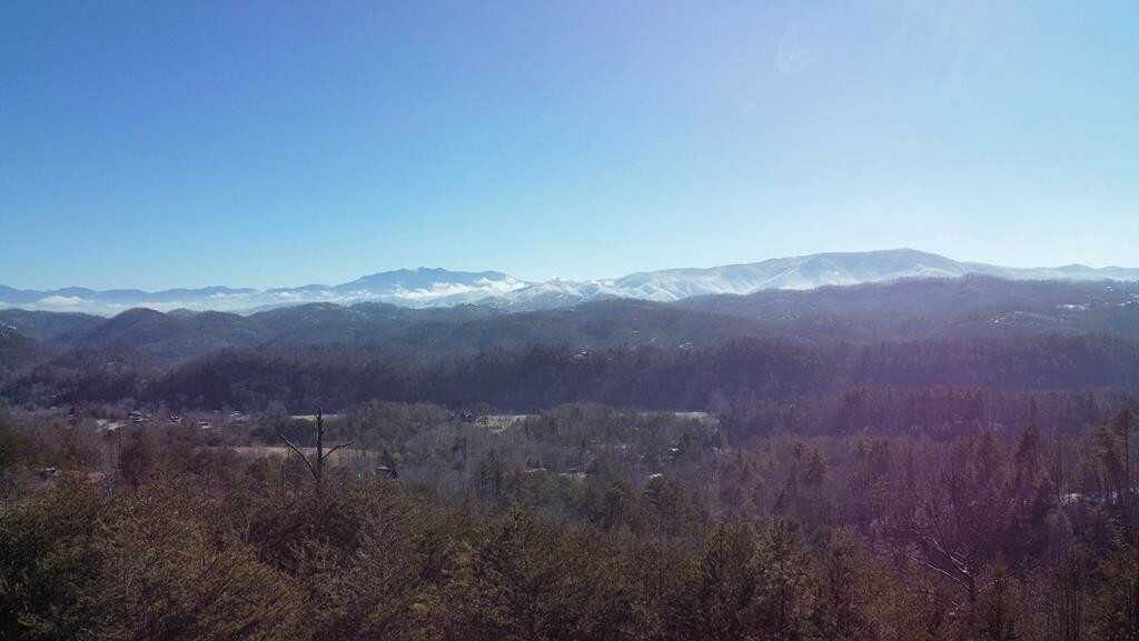 Property Photo: 3080 Misty Bluff Trail TN 37862