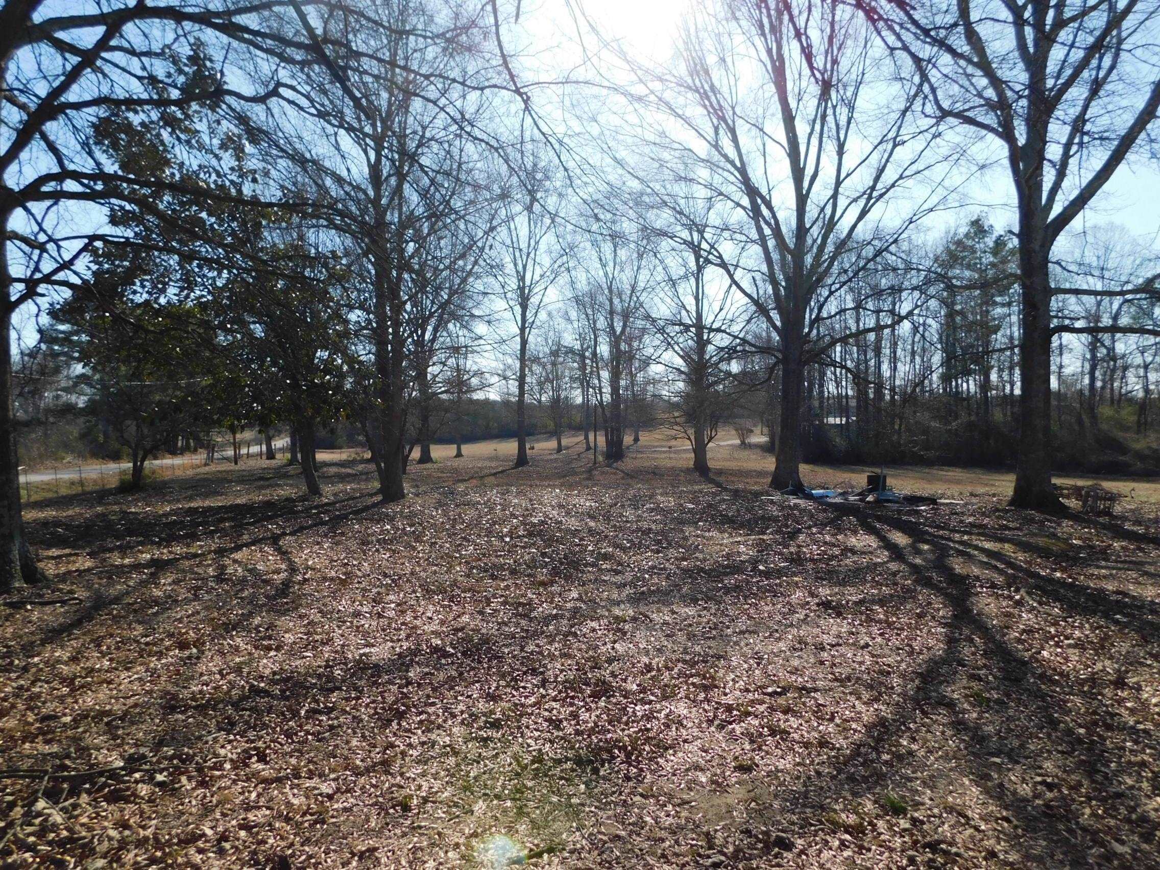 Property Photo:  2825 Co Rd 1428  AL 35179 - VINEMONT 