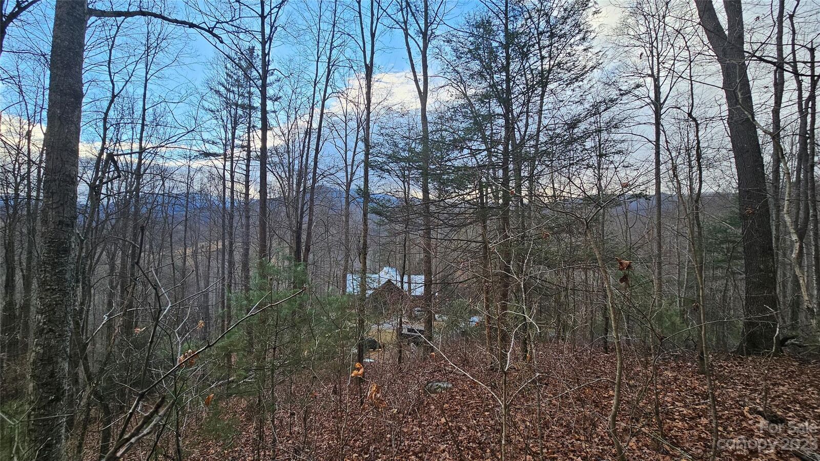 Property Photo:  Lot 14 Seay Mountain Road  NC 28785 