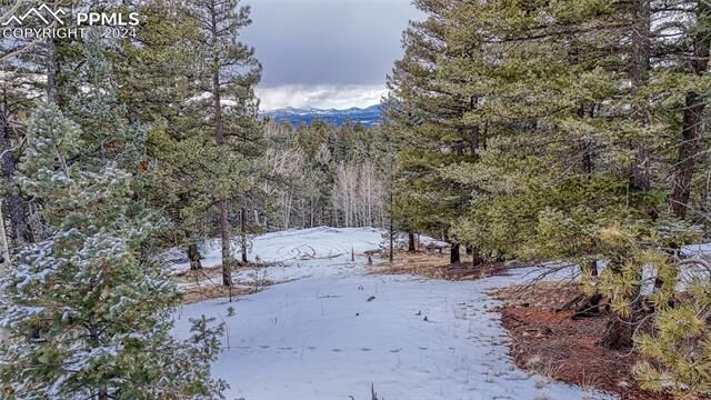 Property Photo:  196 Rampart Circle  CO 80816 