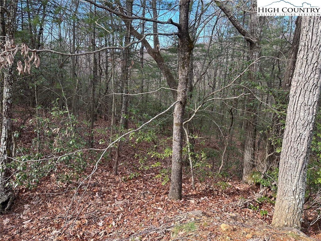 Property Photo: