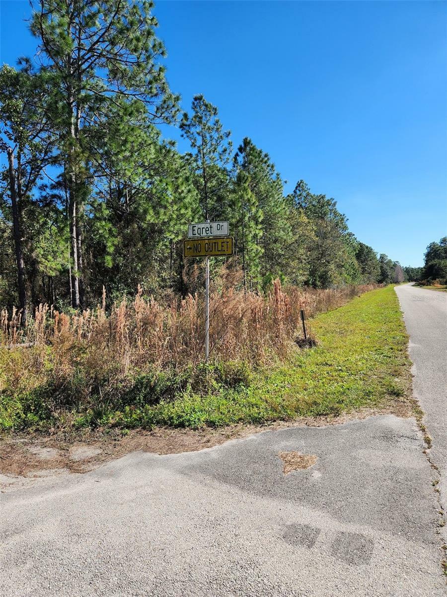 Property Photo:  Egret Drive  FL 33843 