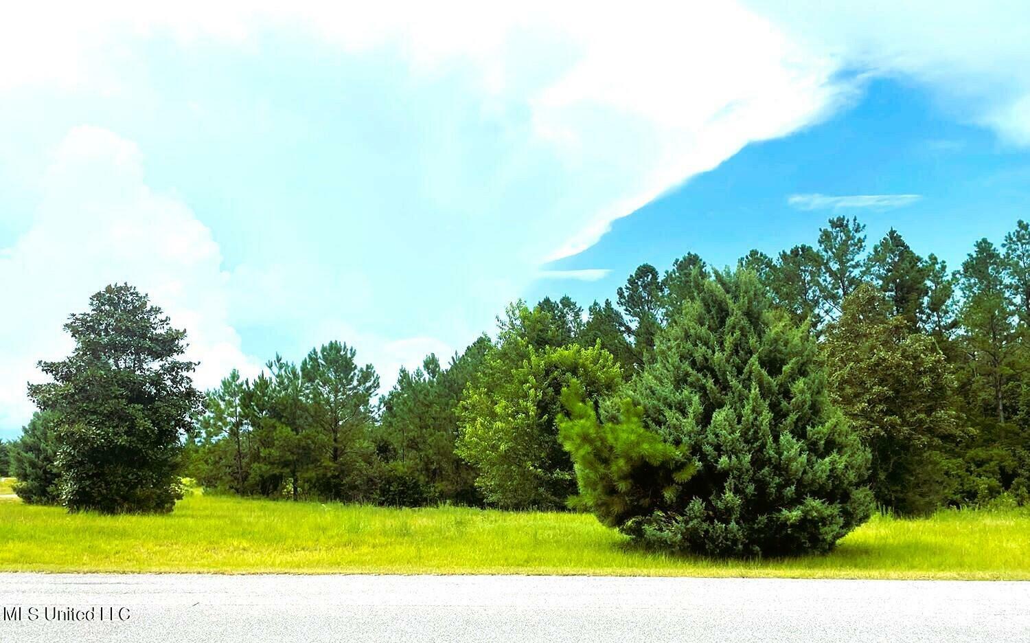 Property Photo:  Lot 7 Samuel Poi Lane  MS 39565 