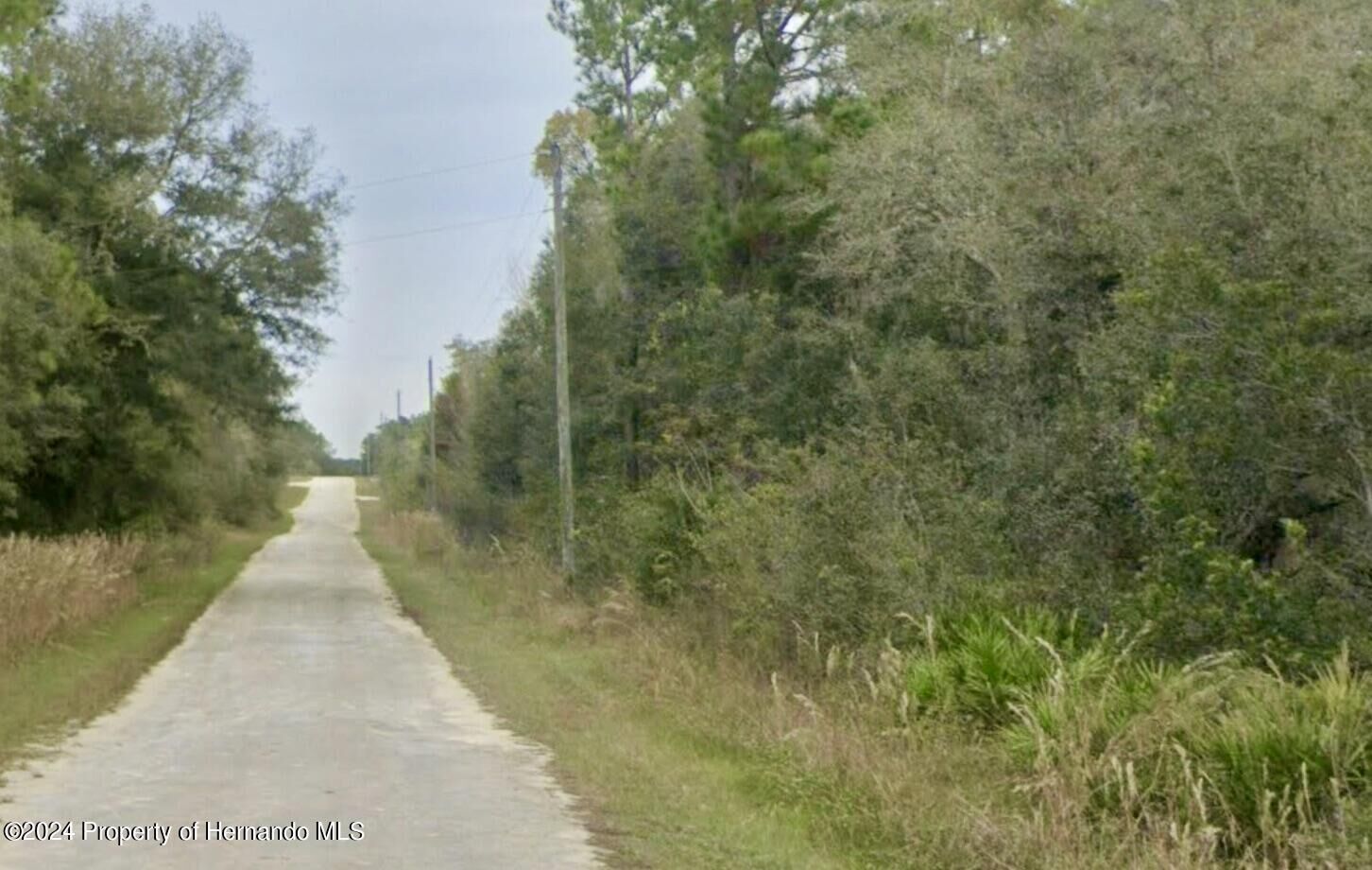 Property Photo:  0000 Chimney Rock Drive  FL 33597 