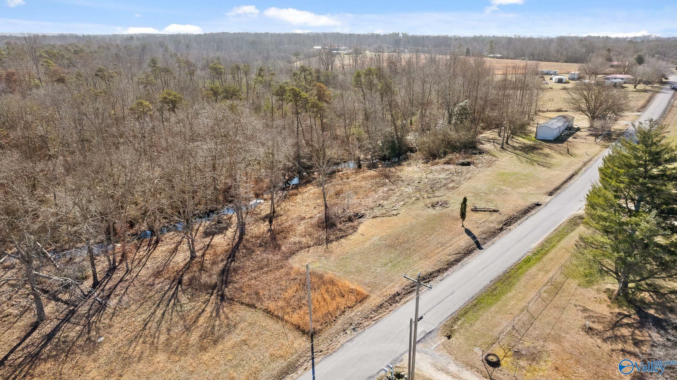 Property Photo:  Tract B County Road 784  AL 35981 