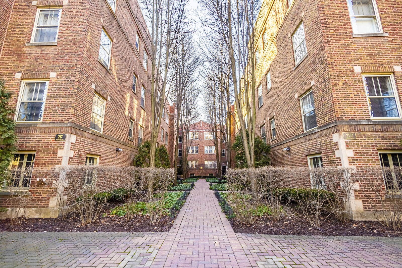 Property Photo:  221 N Oak Park Avenue 1W  IL 60302 