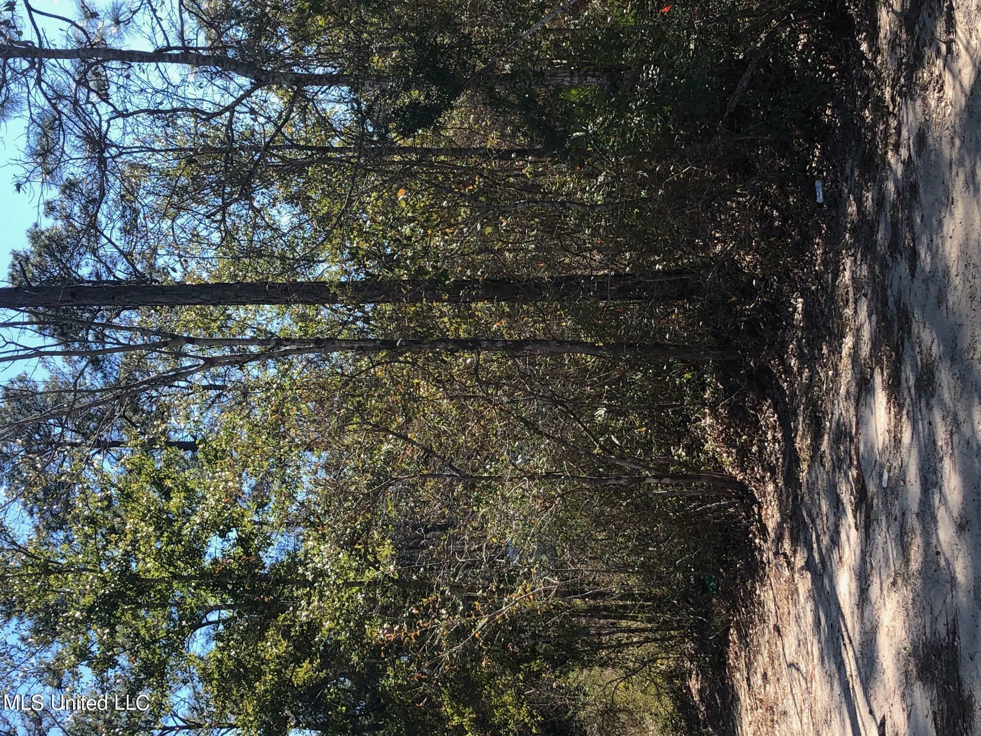 Property Photo:  Willow Lot 358 Street  MS 39564 