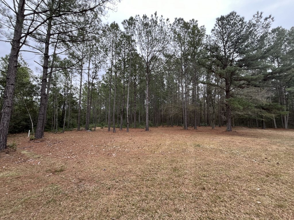 Property Photo:  0 John Wells Road  GA 31313 