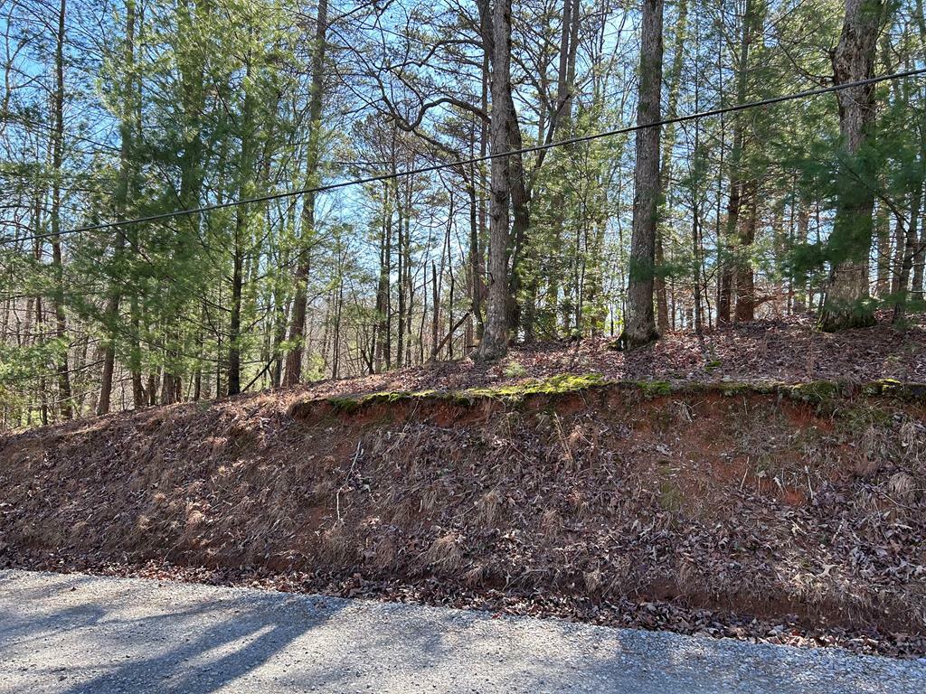 Property Photo: 0 Dryad Court GA 30540