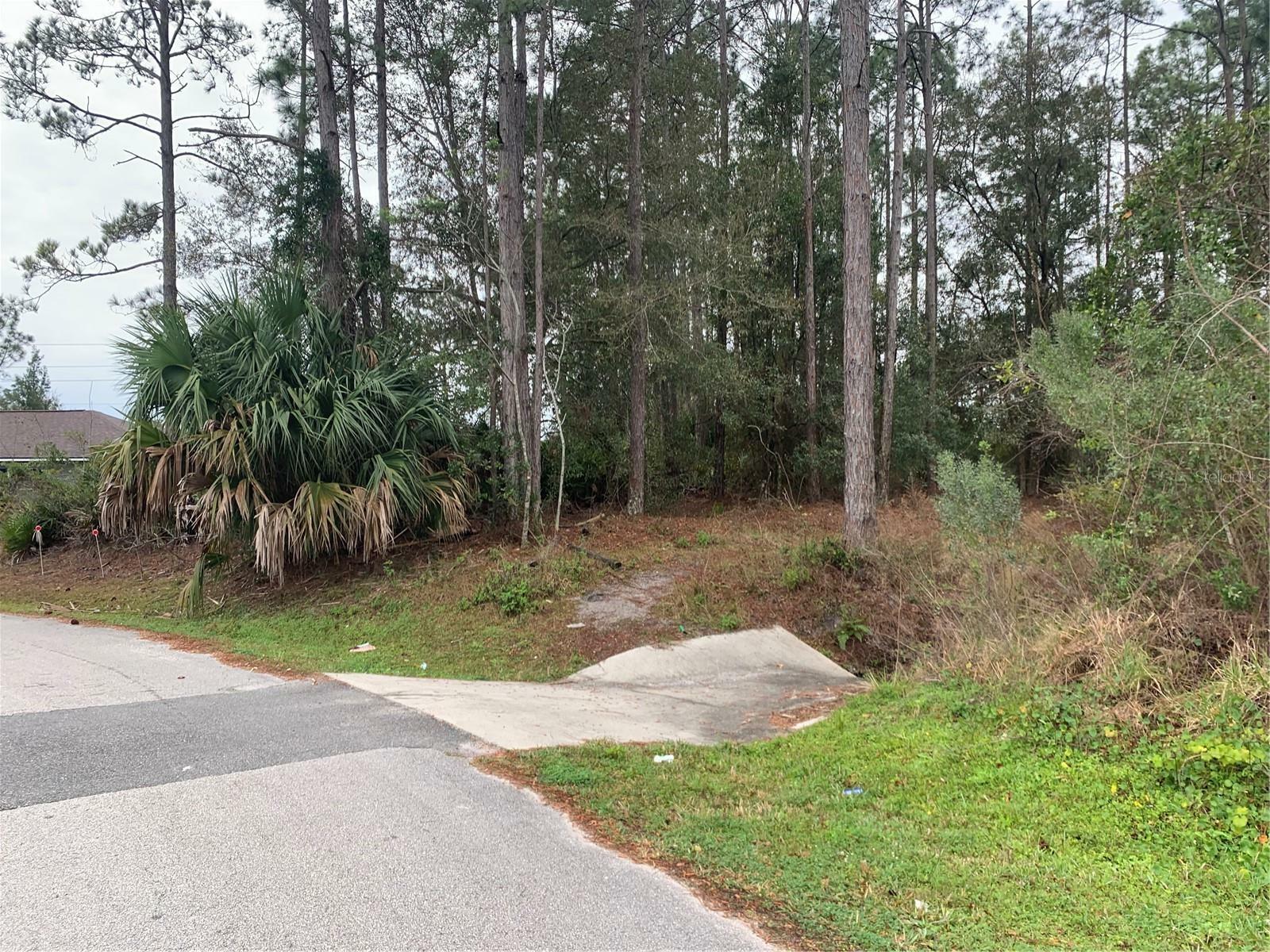 Property Photo:  46 Russell Drive  FL 32164 