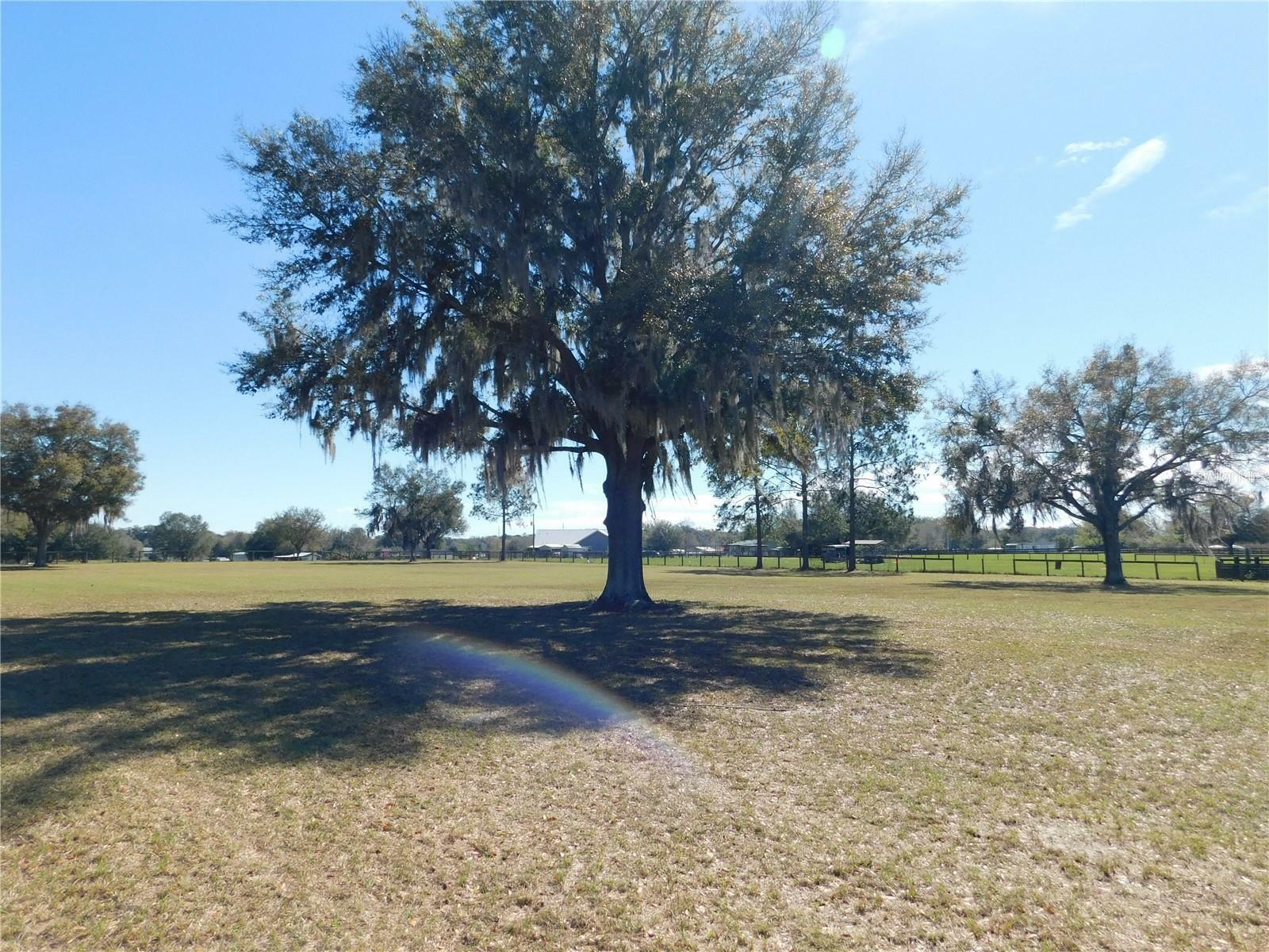 Property Photo:  2 Acre SW 16th Avenue  FL 34473 