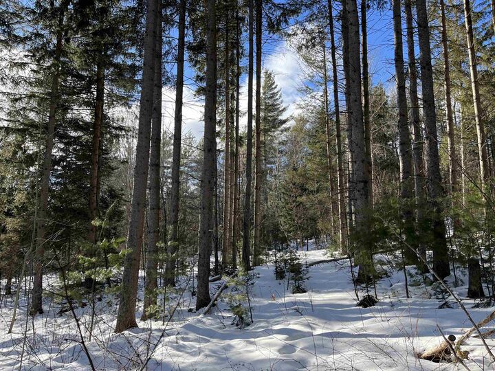 Property Photo: 00 Cassidy Farm Road 01 VT 05674