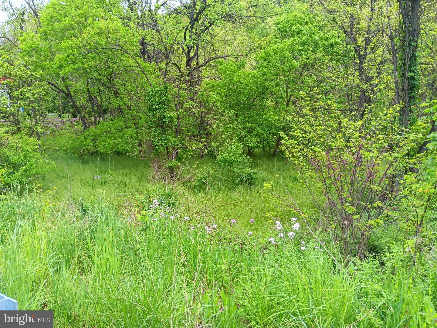 Property Photo:  McMullen Hwy  MD 21502 