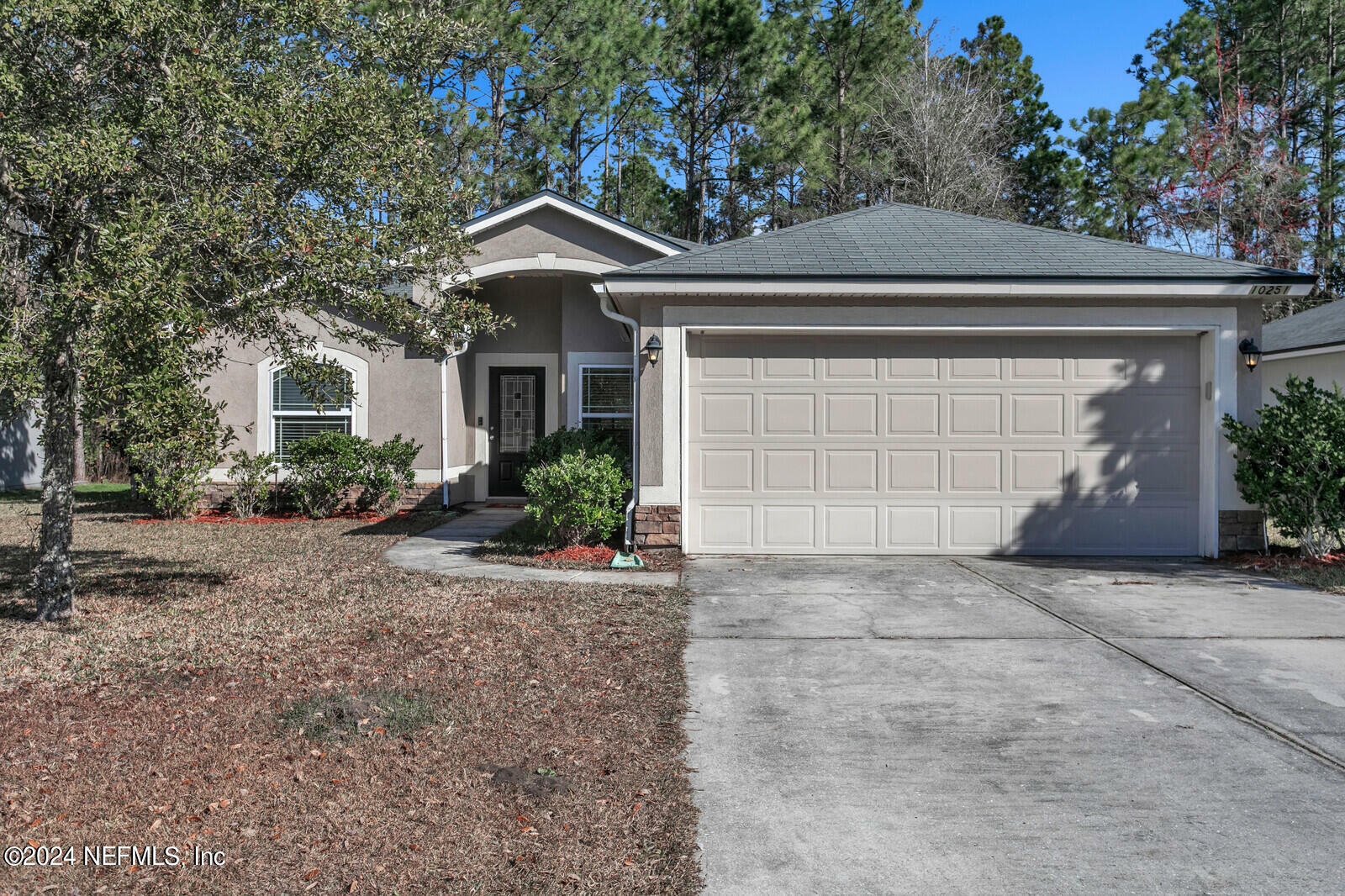 Property Photo:  10251 Driftwood Hills Drive  FL 32221 