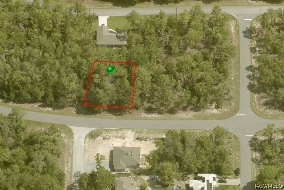 Property Photo:  1985 W G Martinelli Boulevard  FL 34434 