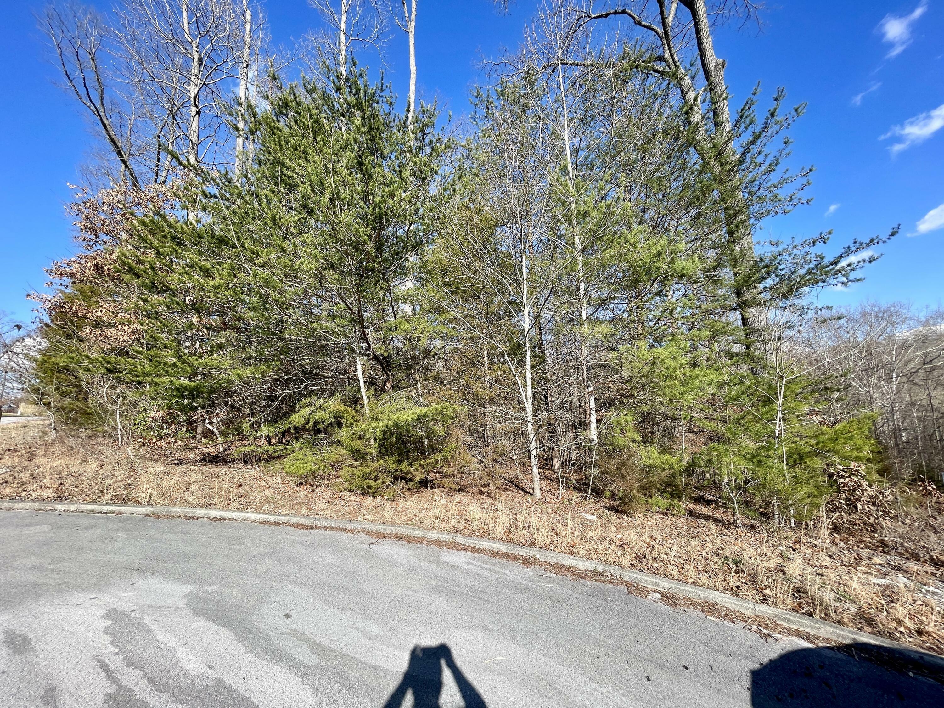 Property Photo: 745 Water Cliff Drive KY 42503