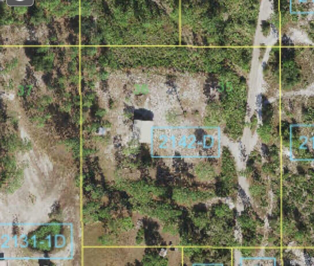 Property Photo:  Tbd Holopaw Groves Road  FL 34771 