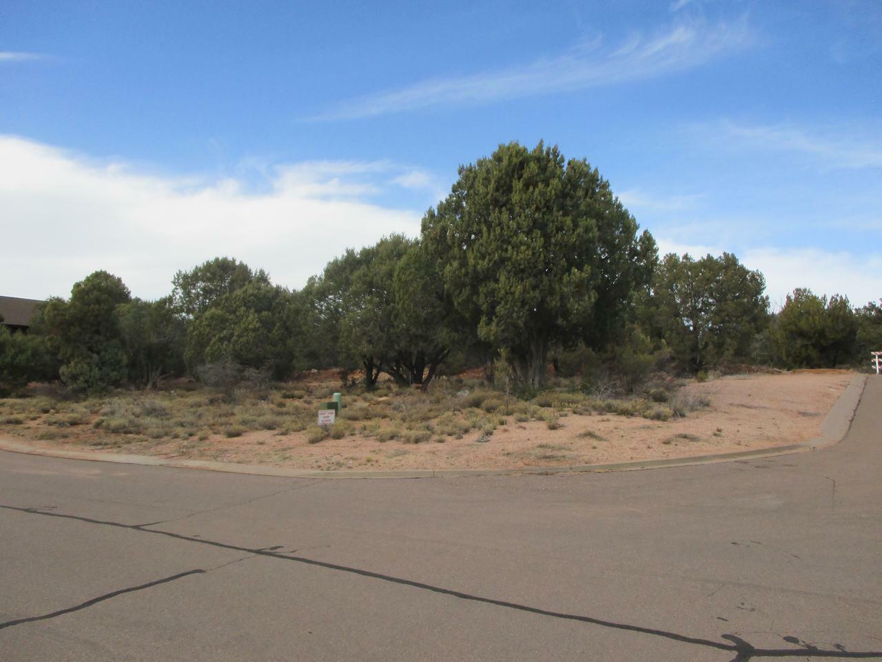 Property Photo:  1301 N Earhart Circle  AZ 85541 