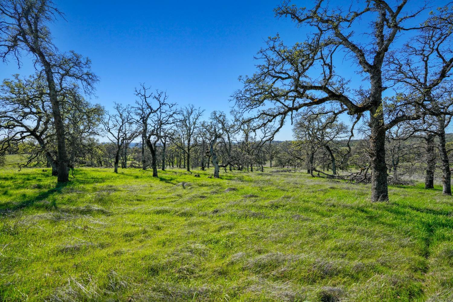 Property Photo: 18700 Matthew Road CA 95692