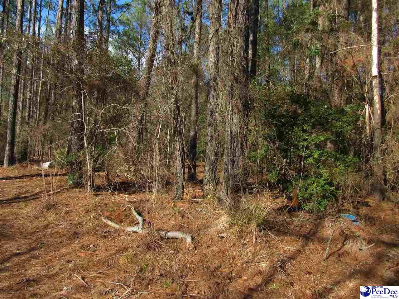 Property Photo: Tbd E Black Creek Drive SC 29501