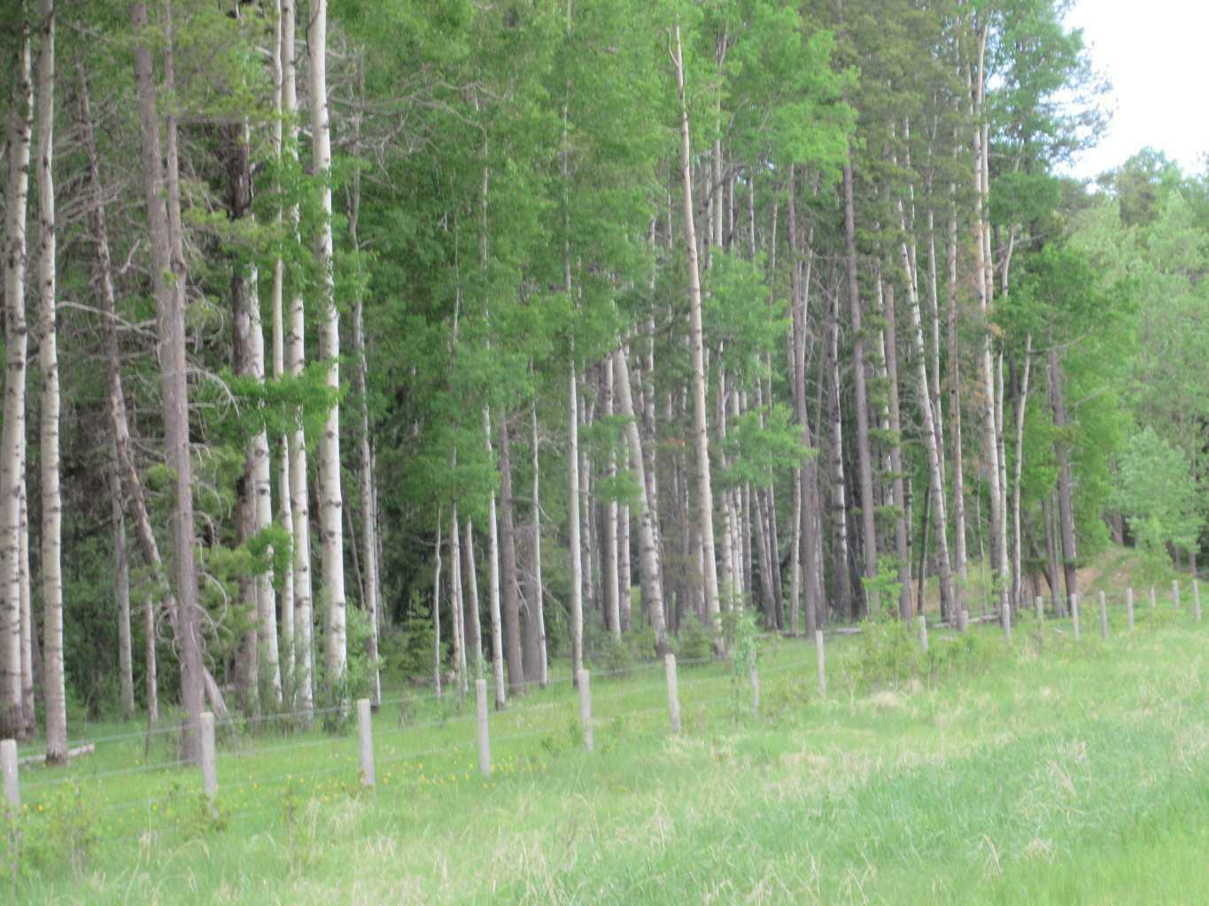 Property Photo:  Cow Creek Road  AB T4T 2A2 