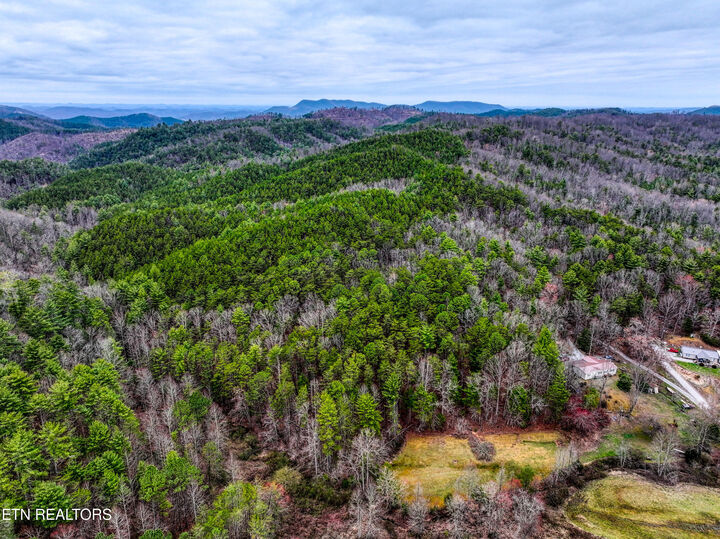 Property Photo:  57.09 Acs Rafter Rd  TN 37385