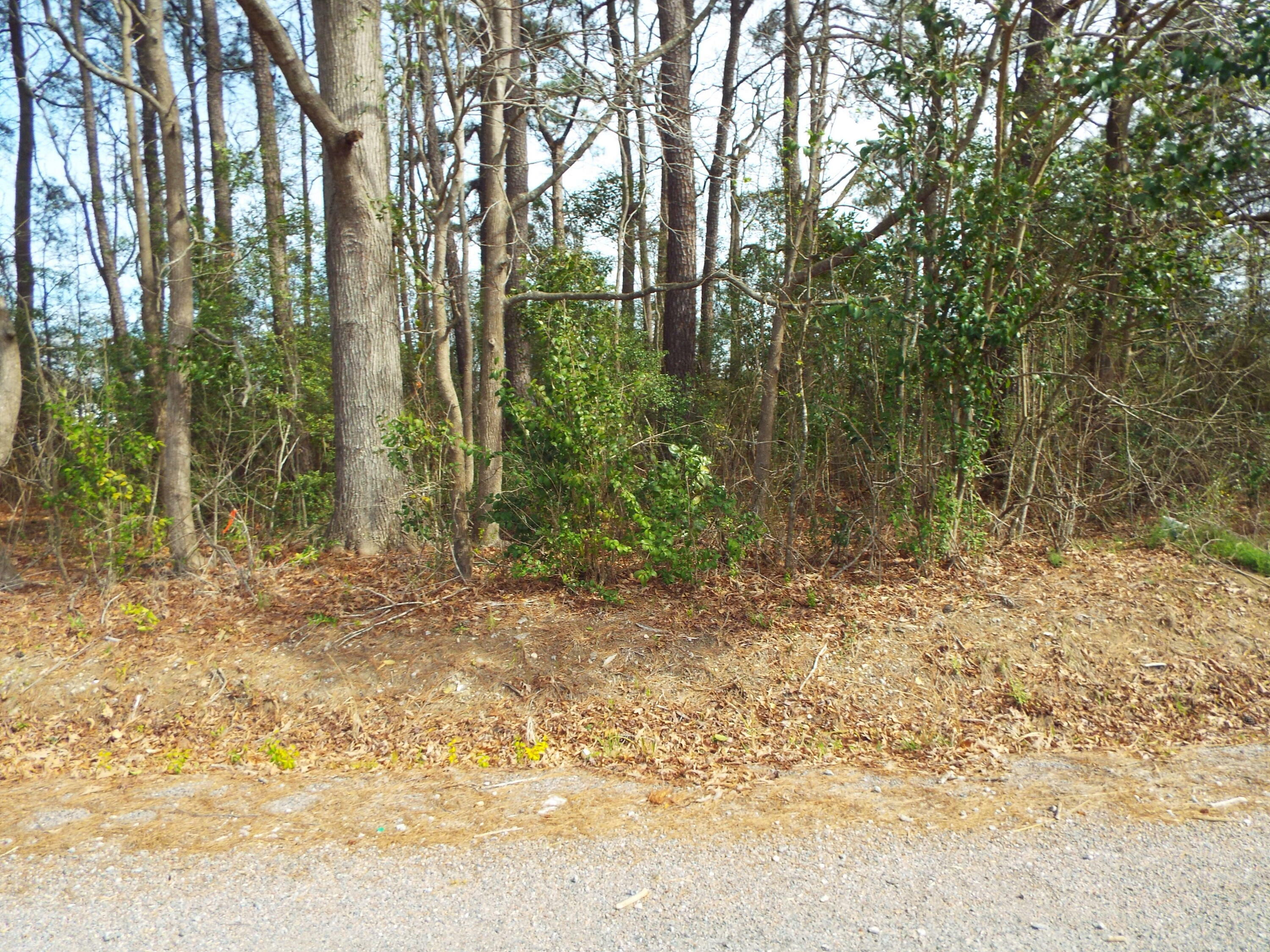 Property Photo:  0 Dennis Drive Lot 26  SC 29445 