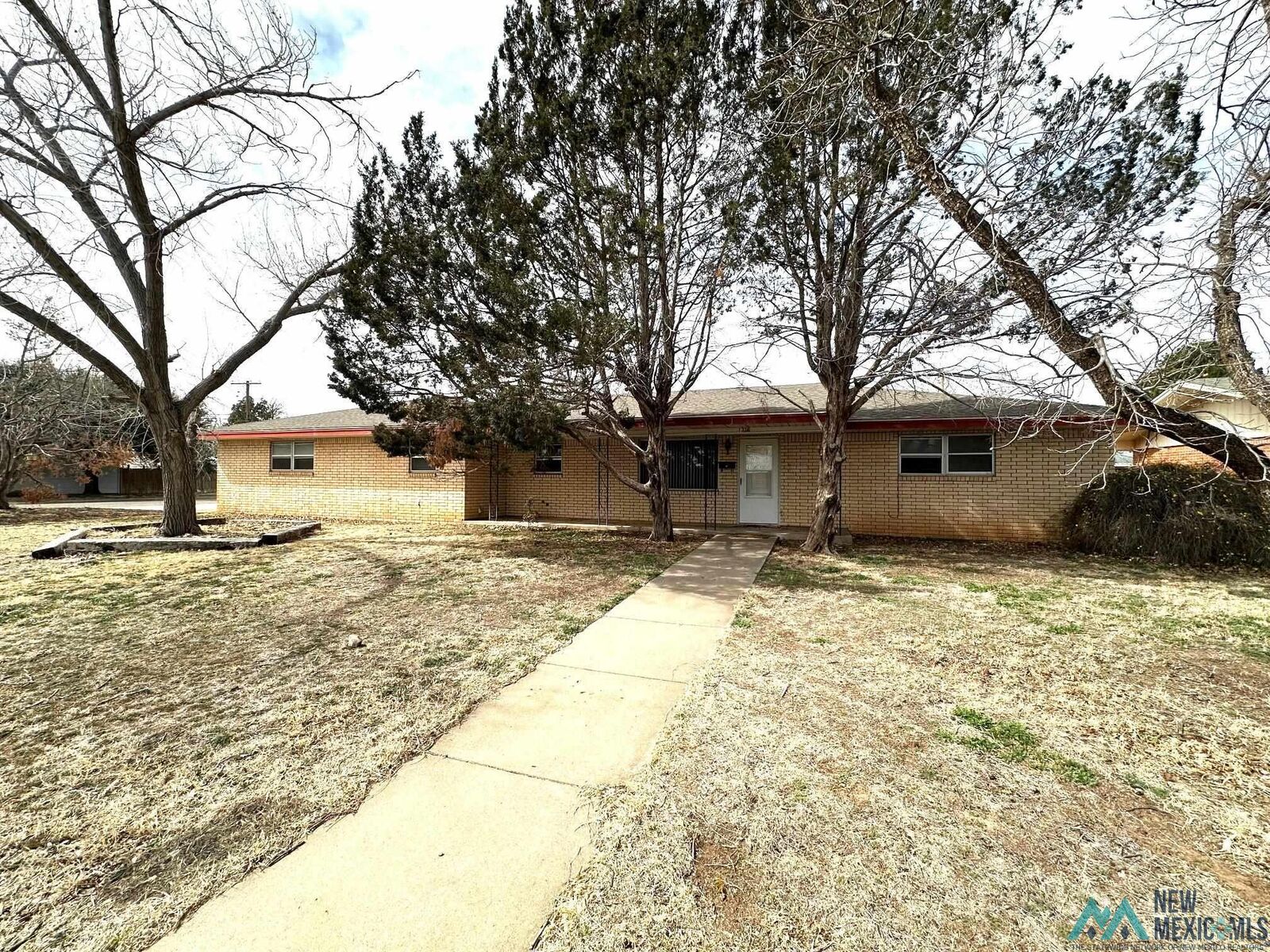 Property Photo:  1316 S Avenue A Avenue  NM 88130 
