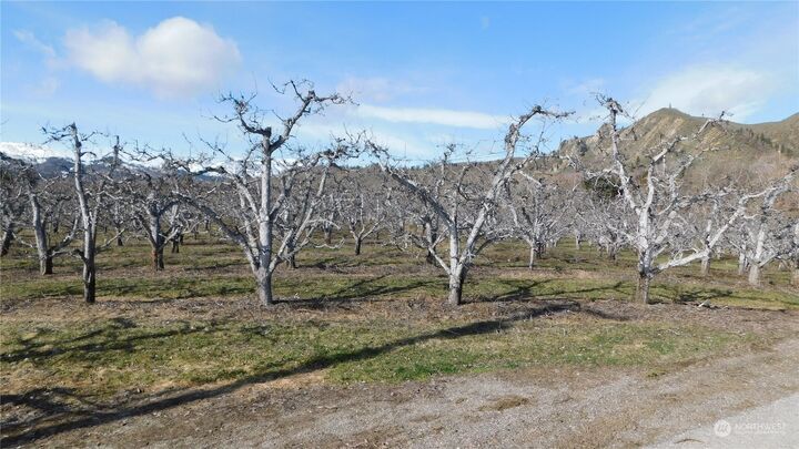 Property Photo:  0 Turkey Shoot Road  WA 98815 