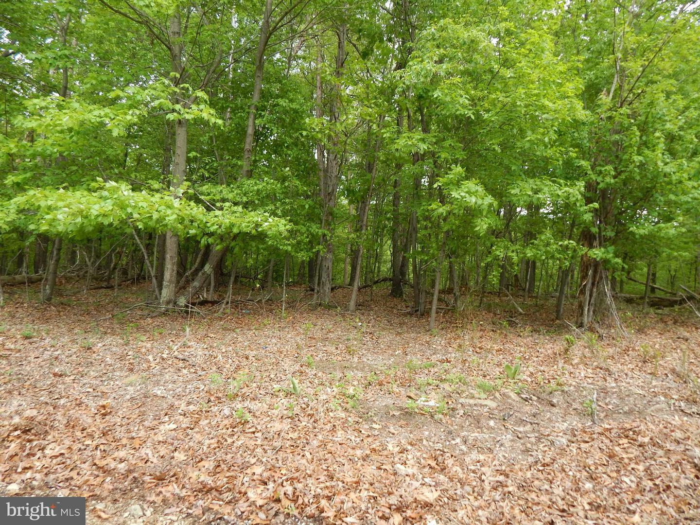 Property Photo:  Plum Tree Lane  WV 25411 