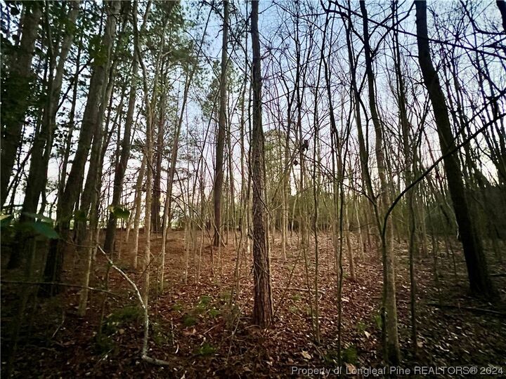 Property Photo:  1871 River Road  NC 28312 
