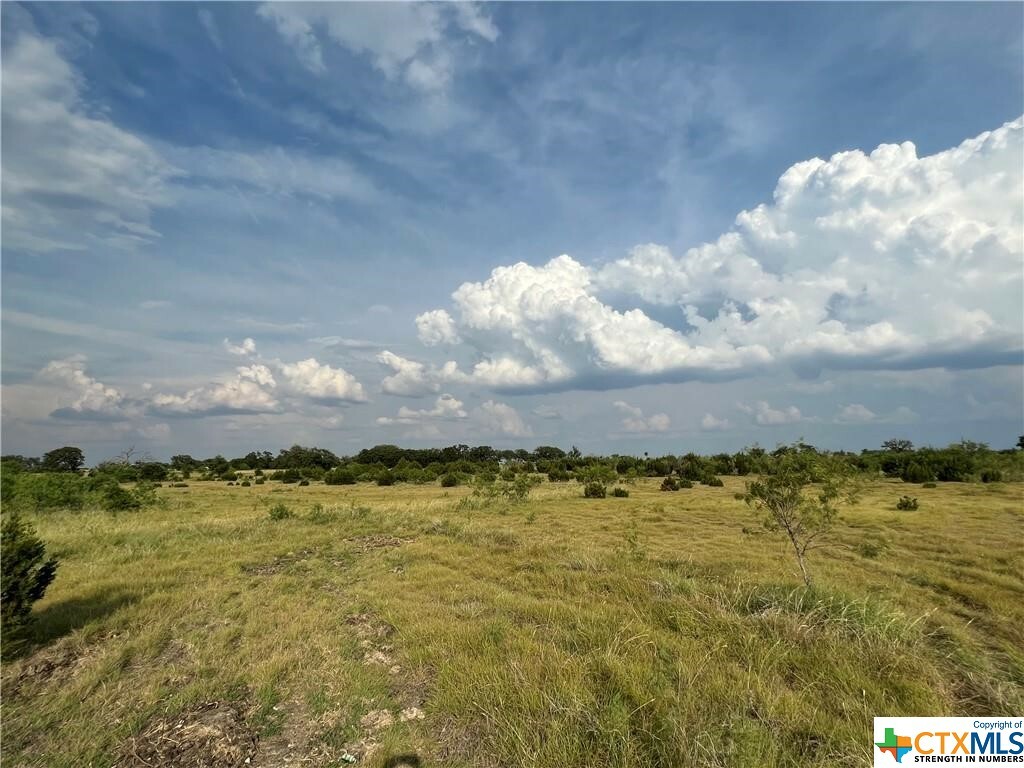 Property Photo:  Tbd County Road 421  TX 76525 