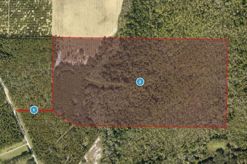 Property Photo:  0 Lane Park Road  FL 32778 