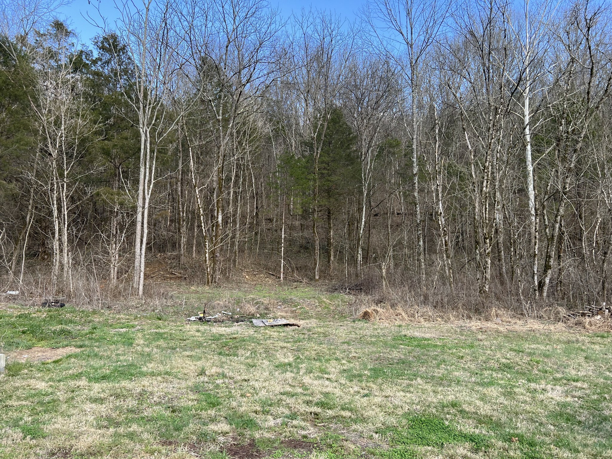 Property Photo:  0 Love Hollow Rd Lot 4  TN 37074 