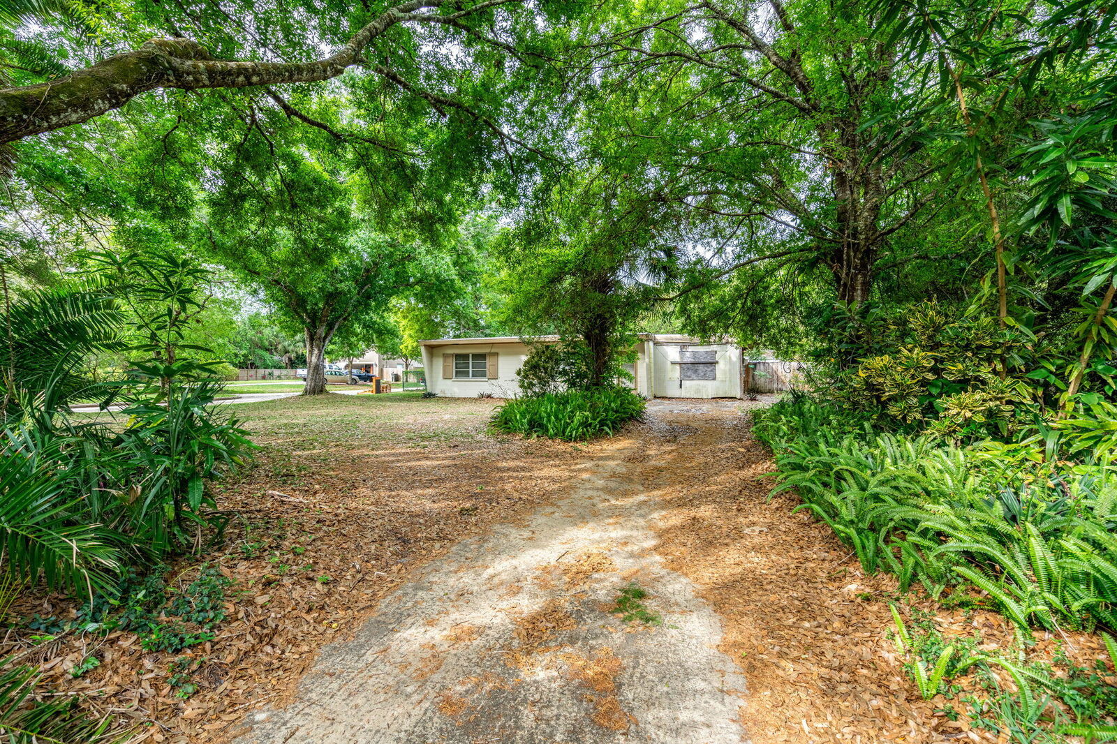 Property Photo: 299 Dayton Boulevard FL 32904