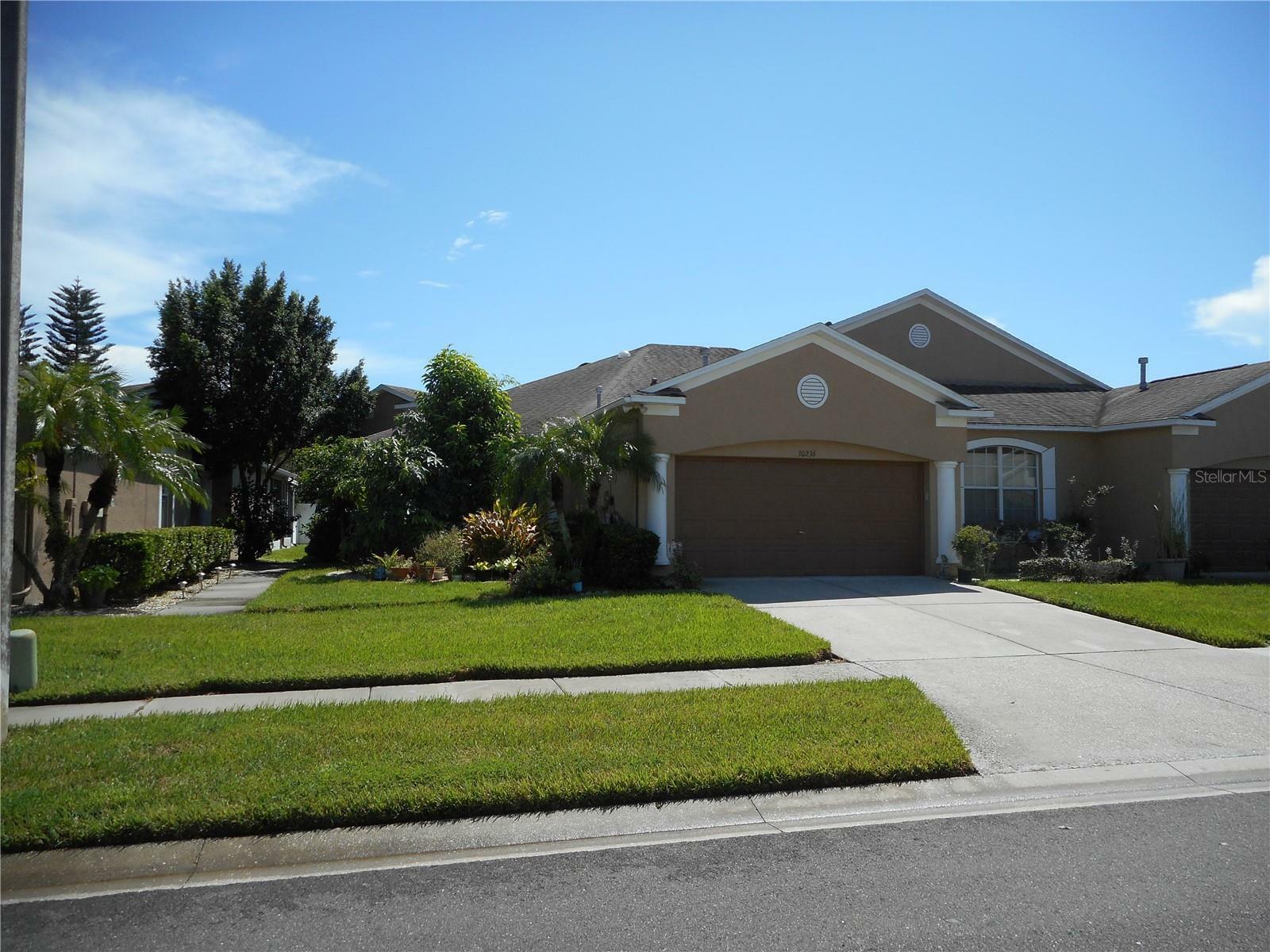 Property Photo:  30236 Lettingwell Circle  FL 33543 