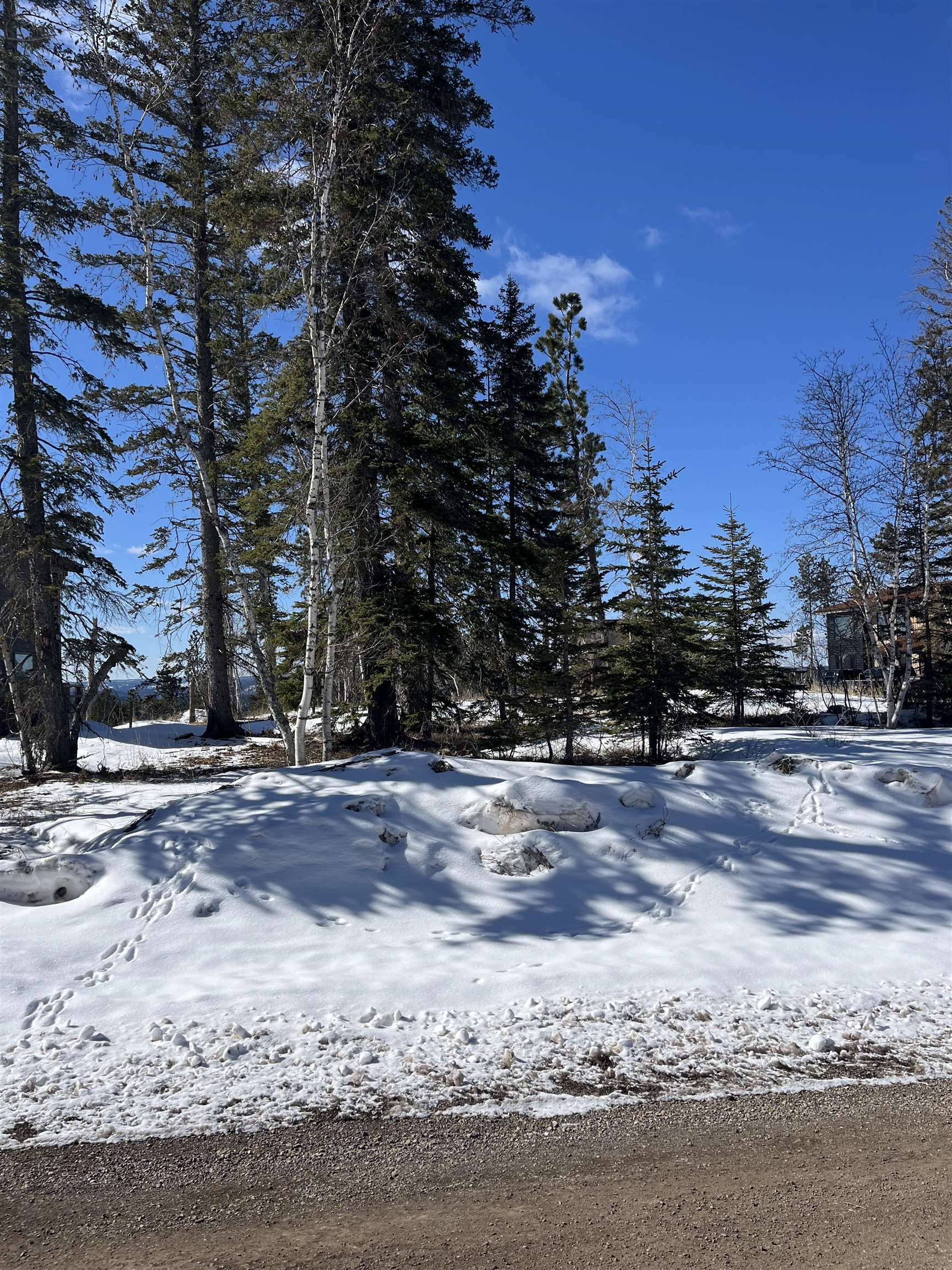 Property Photo:  Lot 19 Block 10  SD 57754 