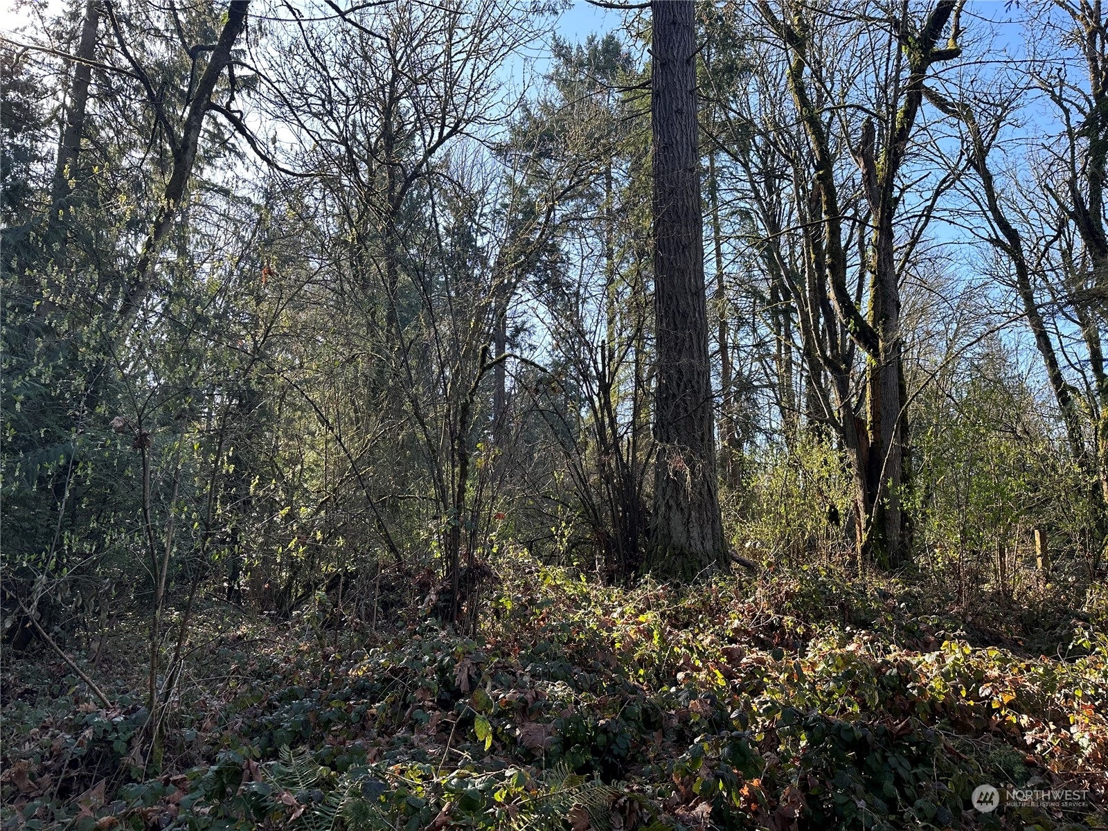 0 66th Ave E  Puyallup WA 98371 photo