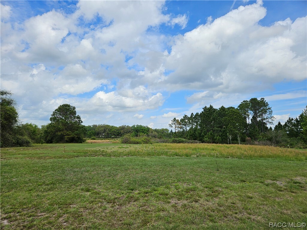 Property Photo:  461 Long And Winding Road  FL 34737 