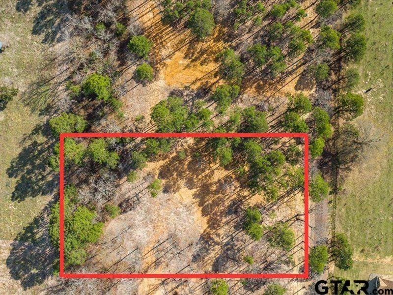 Property Photo:  Lot 3 County Road 2540  TX 75773 