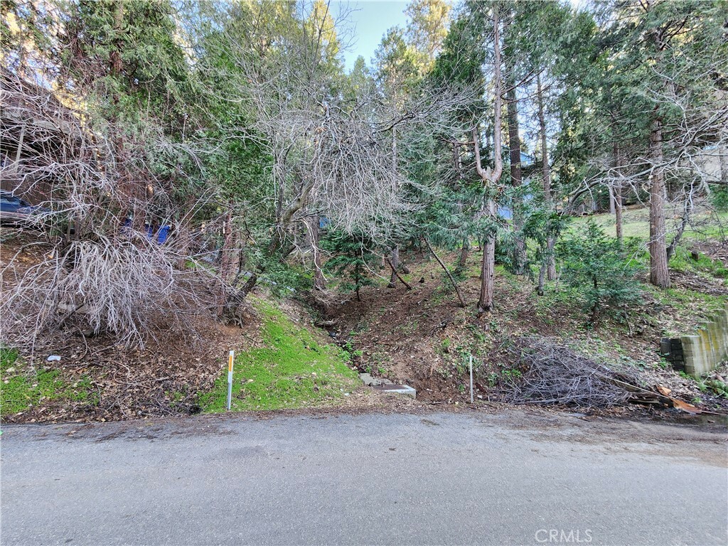 Property Photo:  24459 Horst Drive  CA 92325 